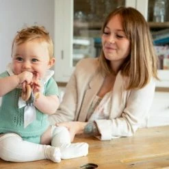 Bo Jungle B-Rattle Rings Roze Olifant Bijtring B931040 10 Bo Jungle B-Rattle Rings Roze Olifant Bijtring B931040 -grijp-bijtspeelgoed Verkoopwinkel 550x366 121