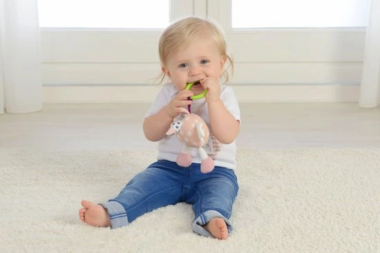 Dolce Activiteiten Kameel 5 Dolce Activiteiten Kameel - Afbeelding 3