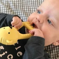 Flow Amsterdam Björn De Ijsbeer Bijtring - Flow -grijp-bijtspeelgoed Verkoopwinkel 550x412 13