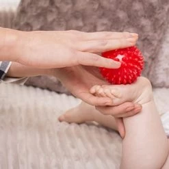 grijp-bijtspeelgoed Verkoopwinkel -grijp-bijtspeelgoed Verkoopwinkel 550x412 42