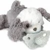 RaZbaby - Speenknuffel En Bijtspeentje - Puppy -grijp-bijtspeelgoed Verkoopwinkel 550x423 1