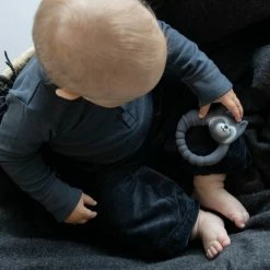 Natruba Bijtring Wasbeer -grijp-bijtspeelgoed Verkoopwinkel 550x550 103