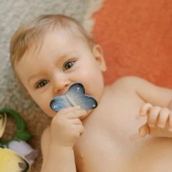 Oli & Carol Oli&Carol Bijtspeeltje Chewy To Go - Blues Vlinder -grijp-bijtspeelgoed Verkoopwinkel 550x550 126