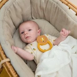 Trixie Bijtring Mr. Lion -grijp-bijtspeelgoed Verkoopwinkel 550x550 45