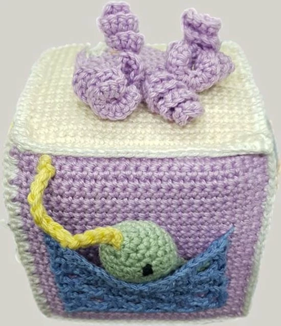 Per Il Bambino Kubus Zee - Baby- Speelgoed 4 Per Il Bambino Kubus Zee - Baby- Speelgoed - Afbeelding 2