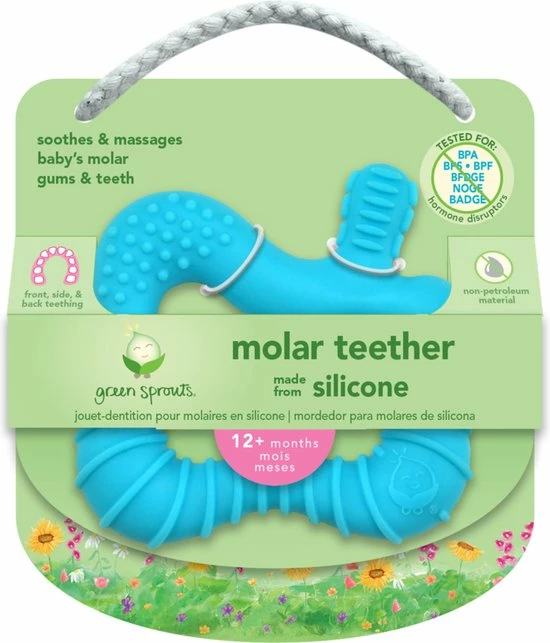 GREEN SPROUTS - Siliconen Molar Bijtring - Aqua 4 GREEN SPROUTS - Siliconen Molar Bijtring - Aqua - Afbeelding 2