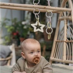 BIBS - Siliconen Bijtring - Bijtringen - Heart Peach 24 BIBS - Siliconen Bijtring - Bijtringen - Heart Peach -grijp-bijtspeelgoed Verkoopwinkel 550x758