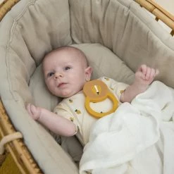 Trixie Bijtring Mr. Lion -grijp-bijtspeelgoed Verkoopwinkel 550x823 1