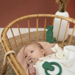 Trixie - Ronde Bijtring Natuurlijk Rubber - Mr. Crocodile -grijp-bijtspeelgoed Verkoopwinkel 550x823 13