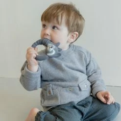 Natruba Bijtring Wasbeer -grijp-bijtspeelgoed Verkoopwinkel 550x825 9