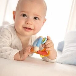 Haba Speelgoed | Wooden Toys - Rammelaar Kleurenpiramide -grijp-bijtspeelgoed Verkoopwinkel 550x830